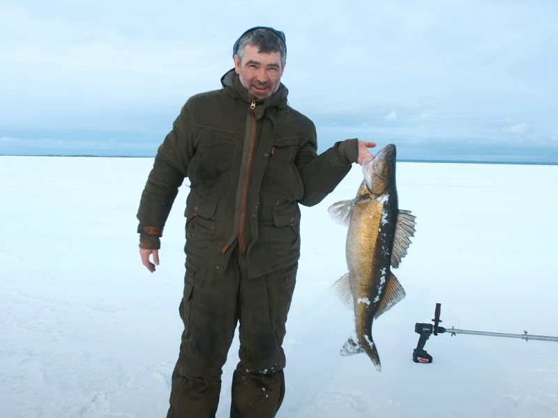 ловля на вибы