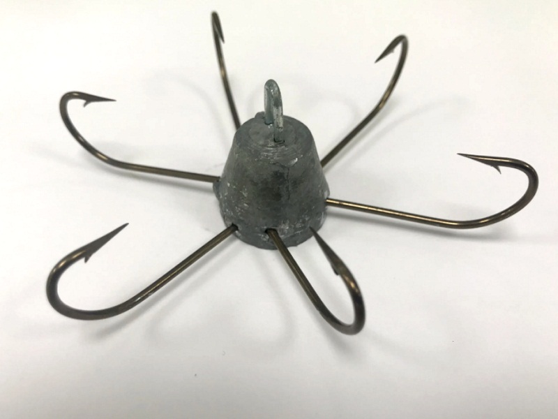 браконьерство рыбы