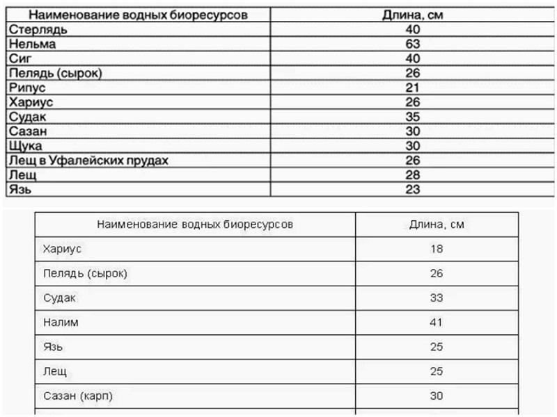 новые правила рыболовства 