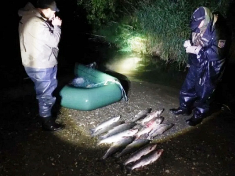 браконьерство рыбы