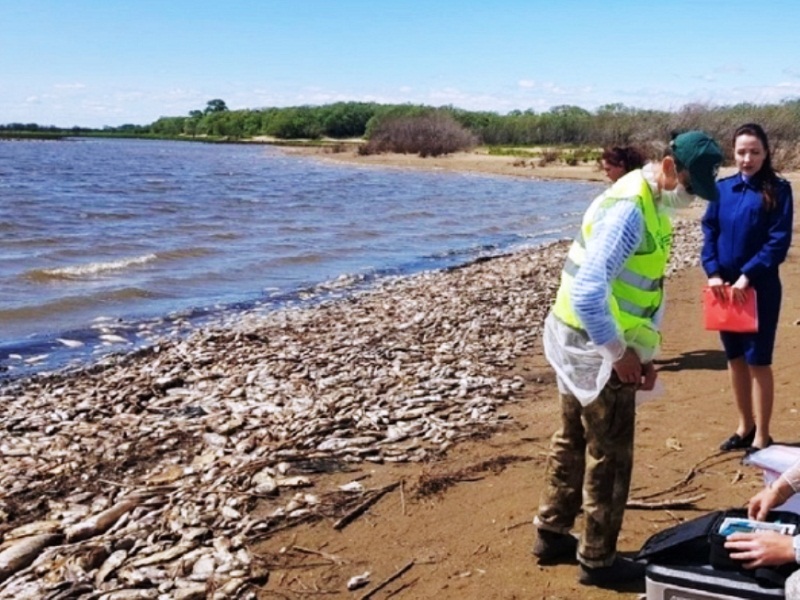 почему исчезла рыба