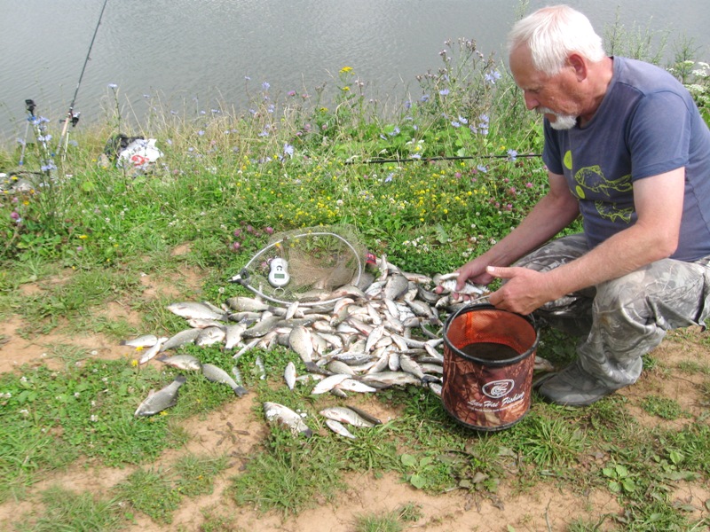 донные оснастки