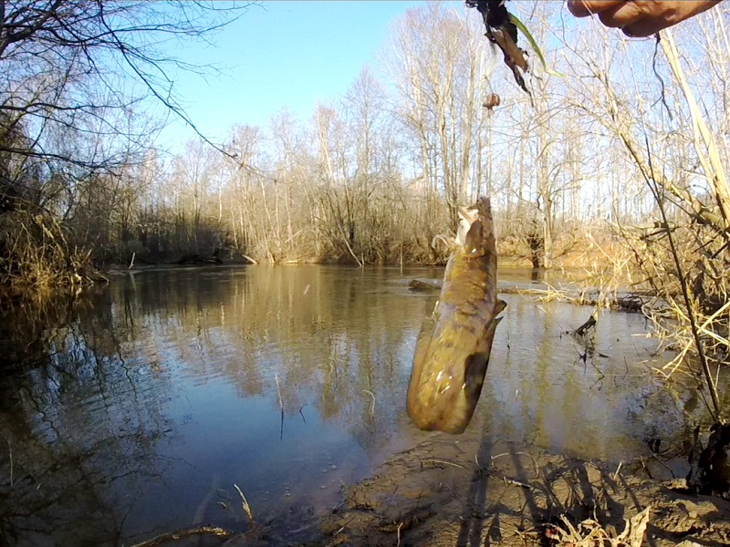 ловля налима весной