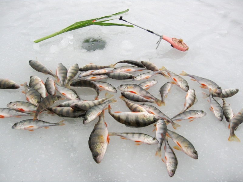 рыбалка зимой