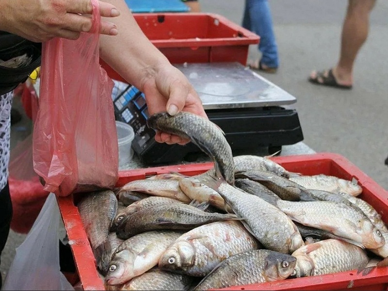 продажа рыбы