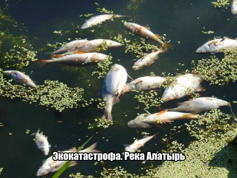 сточные воды предприятий