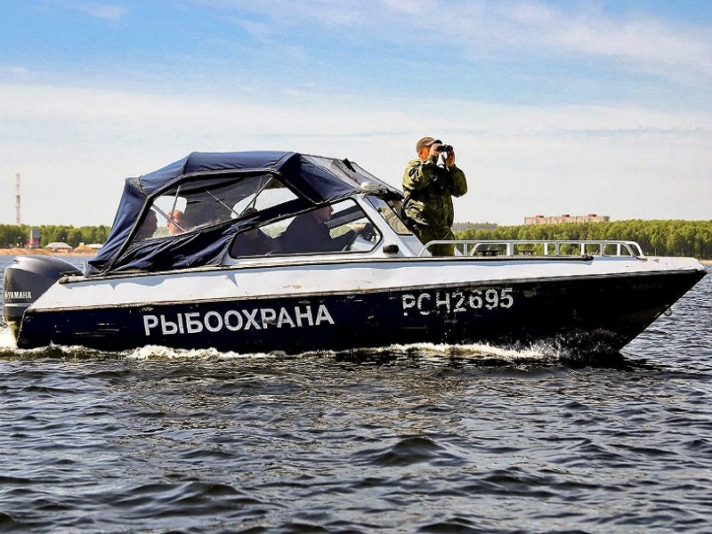 штрафы за рыбалку 2025
