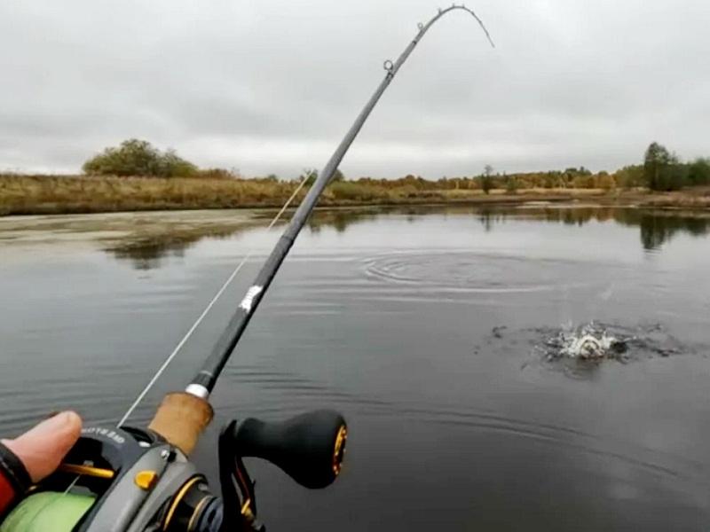 рыбалка со спиннингом 