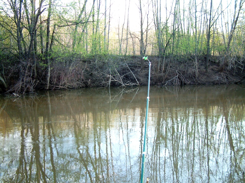 ловля налима весной на донку