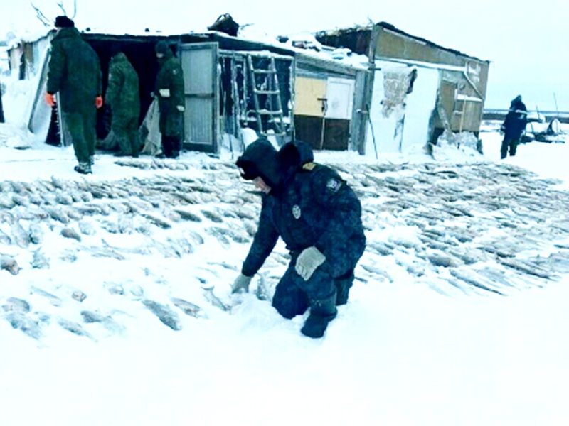 браконьерство рыбы