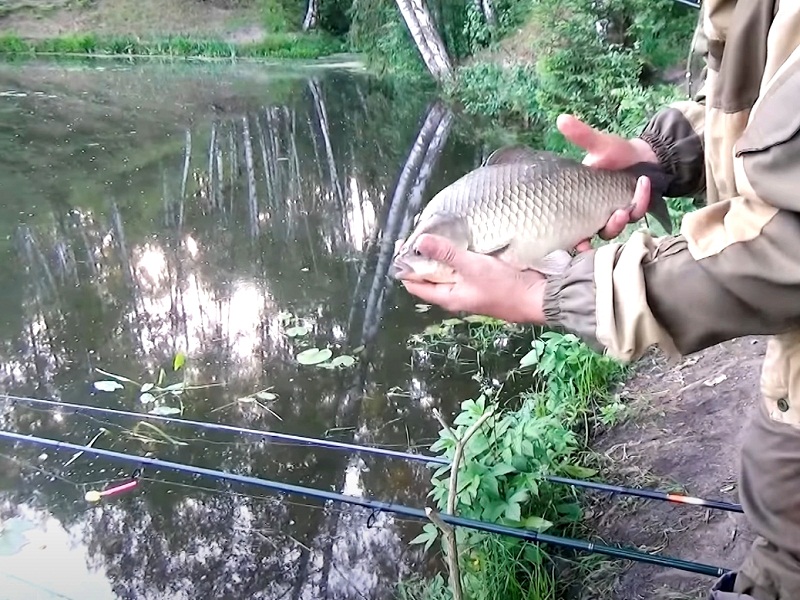 ловля карася на фидер