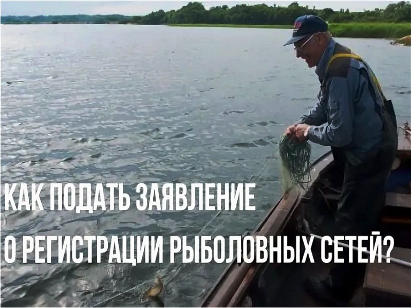 разрешена ловля сетями