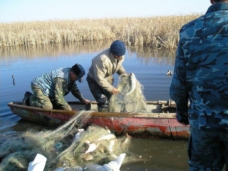 штраф за рыбалку