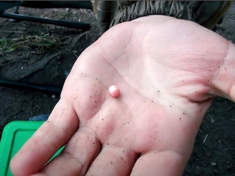 ловля карася на фидер