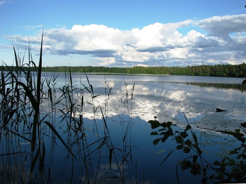 рыбалка резинка