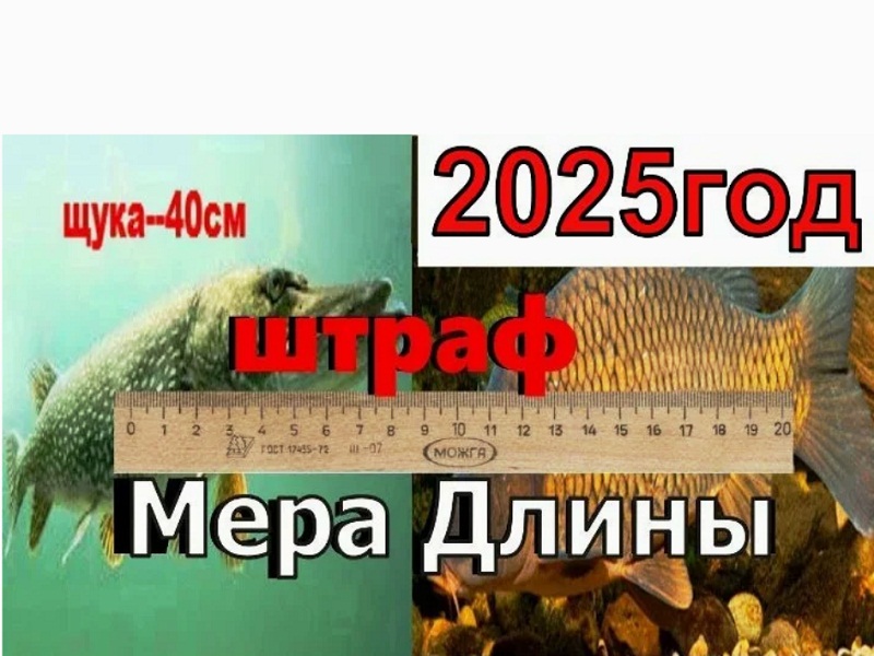 новые правила рыболовства 2025