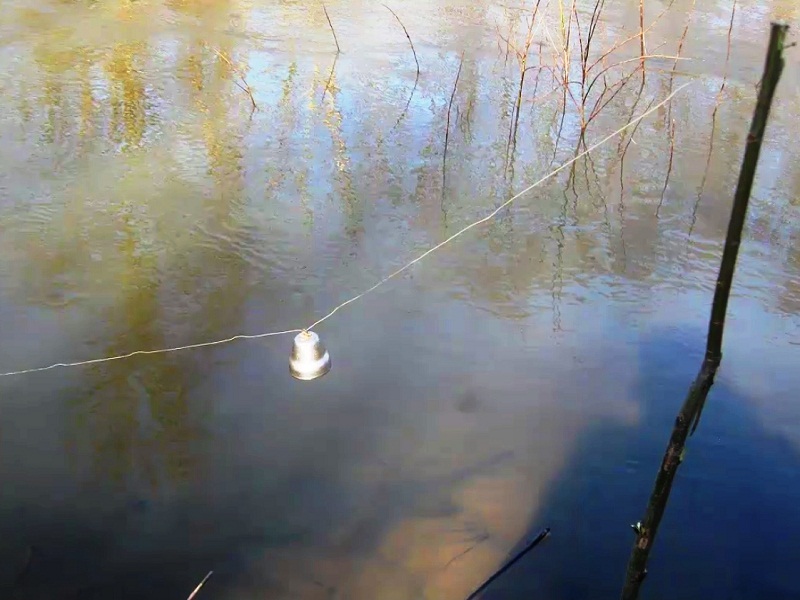 ловля налима весной