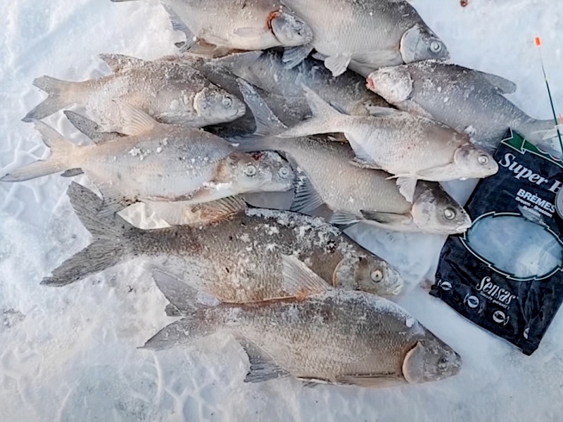 ловля леща зимой в палатке ночью