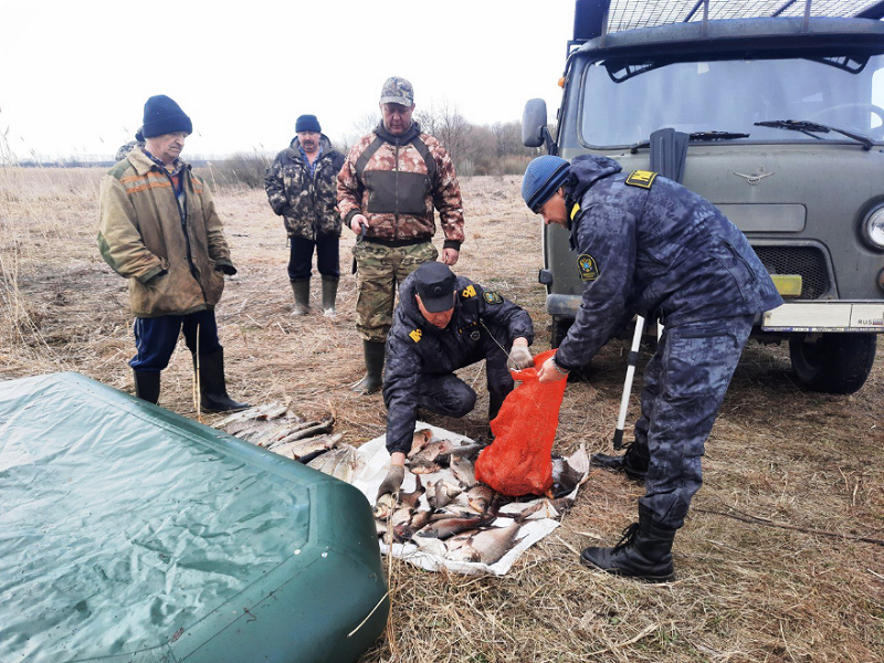 статья за браконьерство