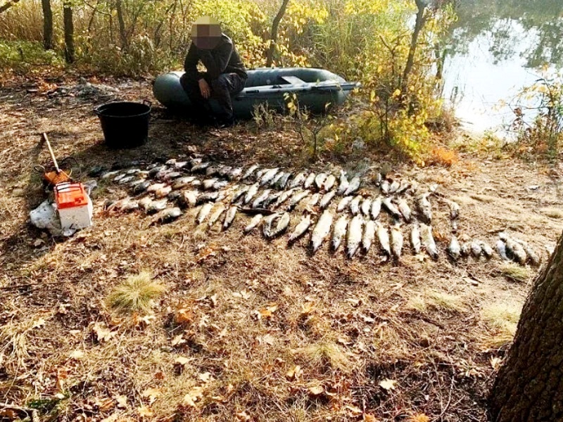 ловля рыбы электроудочкой