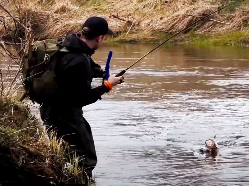запрет на ловлю щуки весной