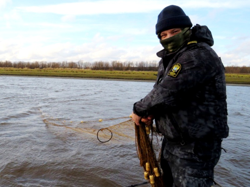 браконьерство рыбы
