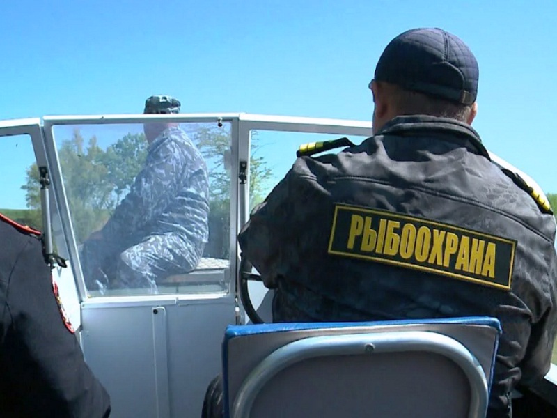 штраф за ловлю стерляди