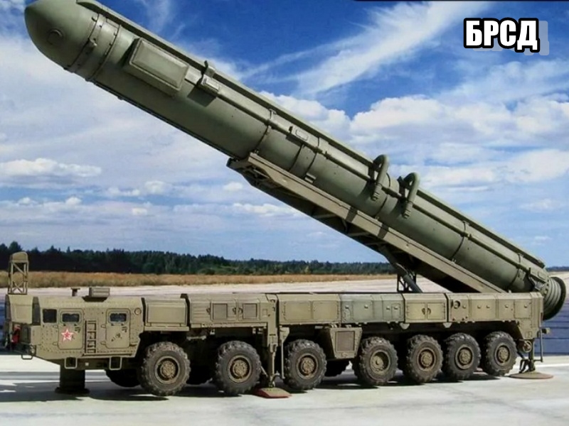 брсд орешник