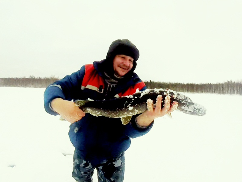 ловля щуки на жерлицы зимой