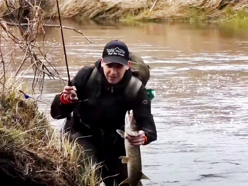 запрет на ловлю щуки весной 