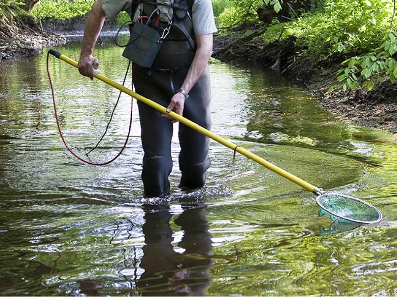 браконьерство рыбы