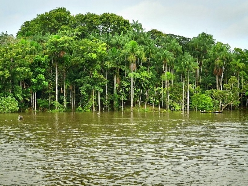 амазонка река
