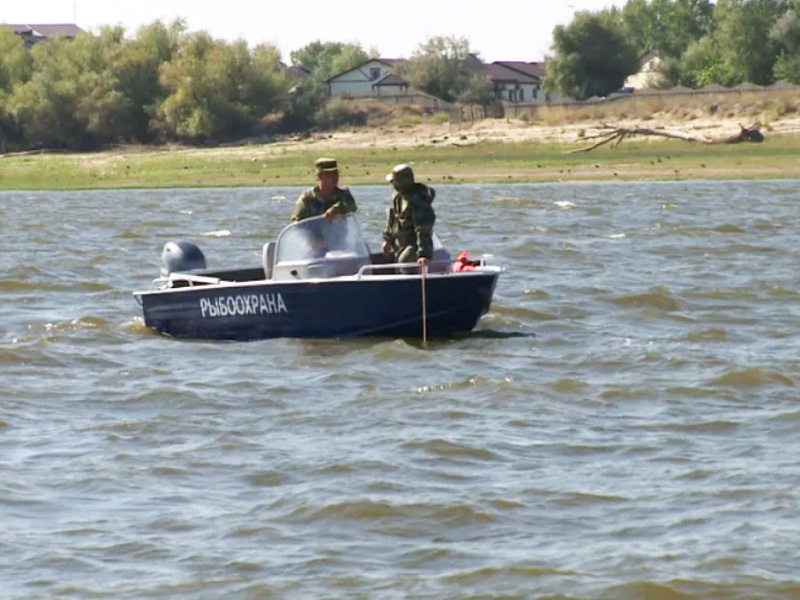 браконьерство рыбы
