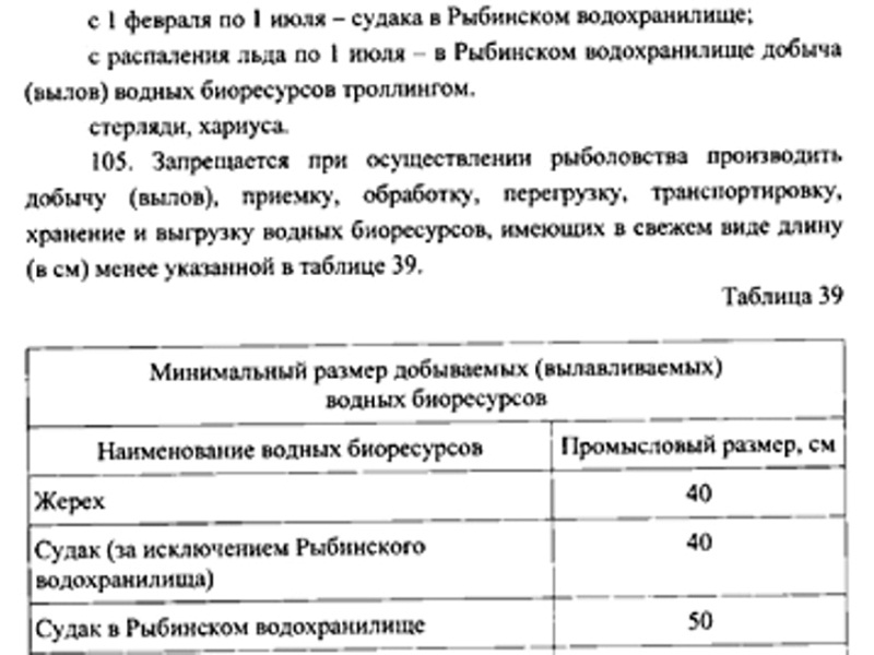 новые правила любительского рыболовства