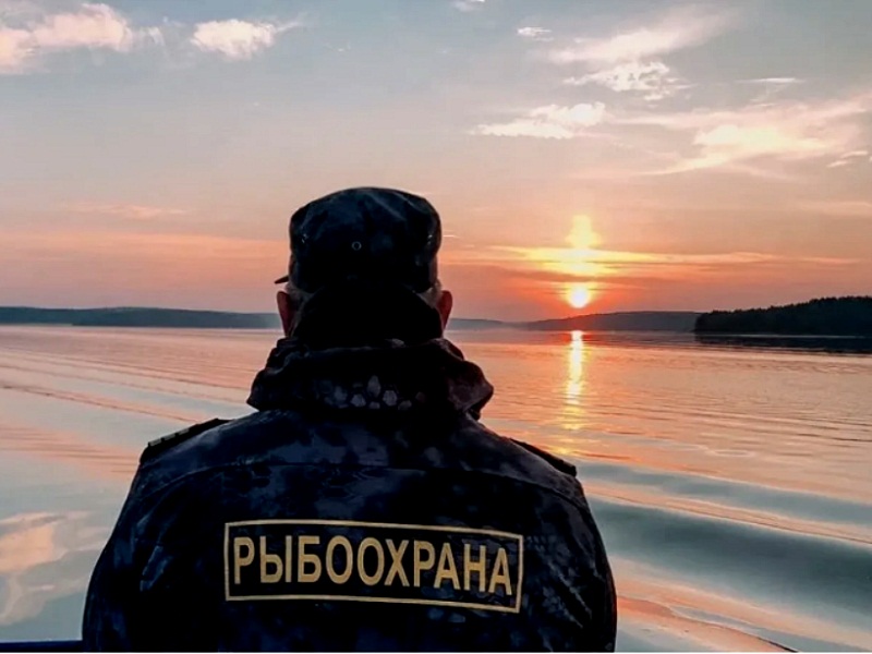 получение взятки должностным лицом