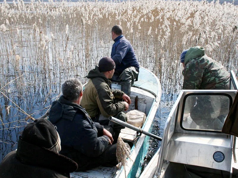 задержание браконьеров