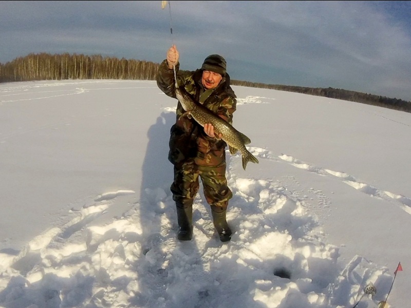 зимняя ловля щуки