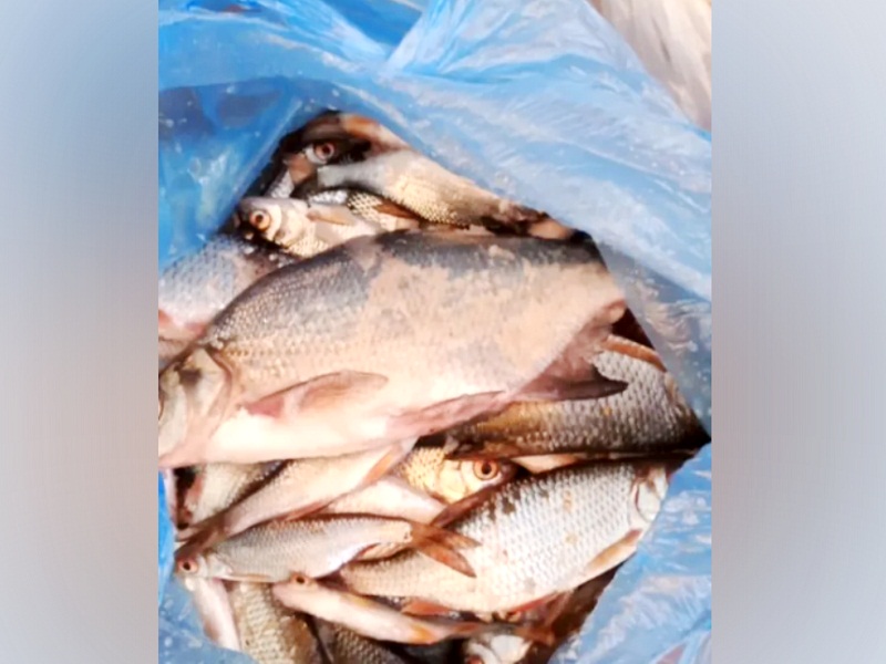 зимняя рыбалка на мормышку