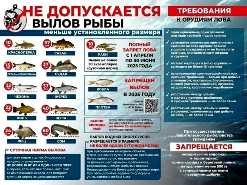 новые правила рыбалки
