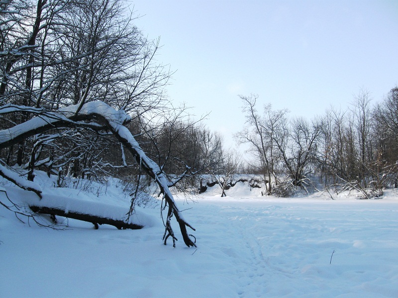 река малая кокшага