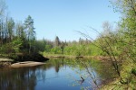 В лесной реке время от времени находят неопознанных