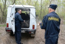 Паук-подъемник кроме щук принёс и уголовную статью