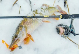 Рыбалка со спиннингом зимой