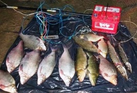 Удивительно мягкий приговор электроудочнику