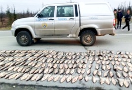 Новые положения о досмотре машин рыбоохраной