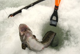 Он лишился вездехода и подводной камеры