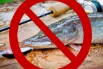  Штрафы хотят опять увеличить рыболовам-любителям