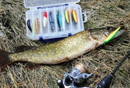 Рыбалка  со спиннингом на воблеры весной