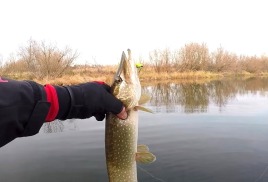 Рыбалка со спиннингом на джиг весной. Цель – щука, судак