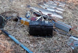 Электроудочники попали под статью